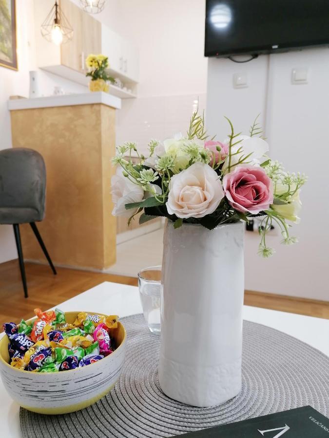 Apartman Mia Sremska Mitrovica Extérieur photo